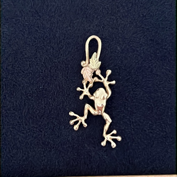 10k Gold Frog Pendant - Picture 1 of 5